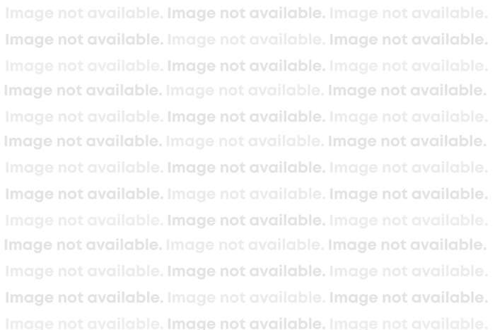 Image Not Available Widgety 18P 2026 version.jpg